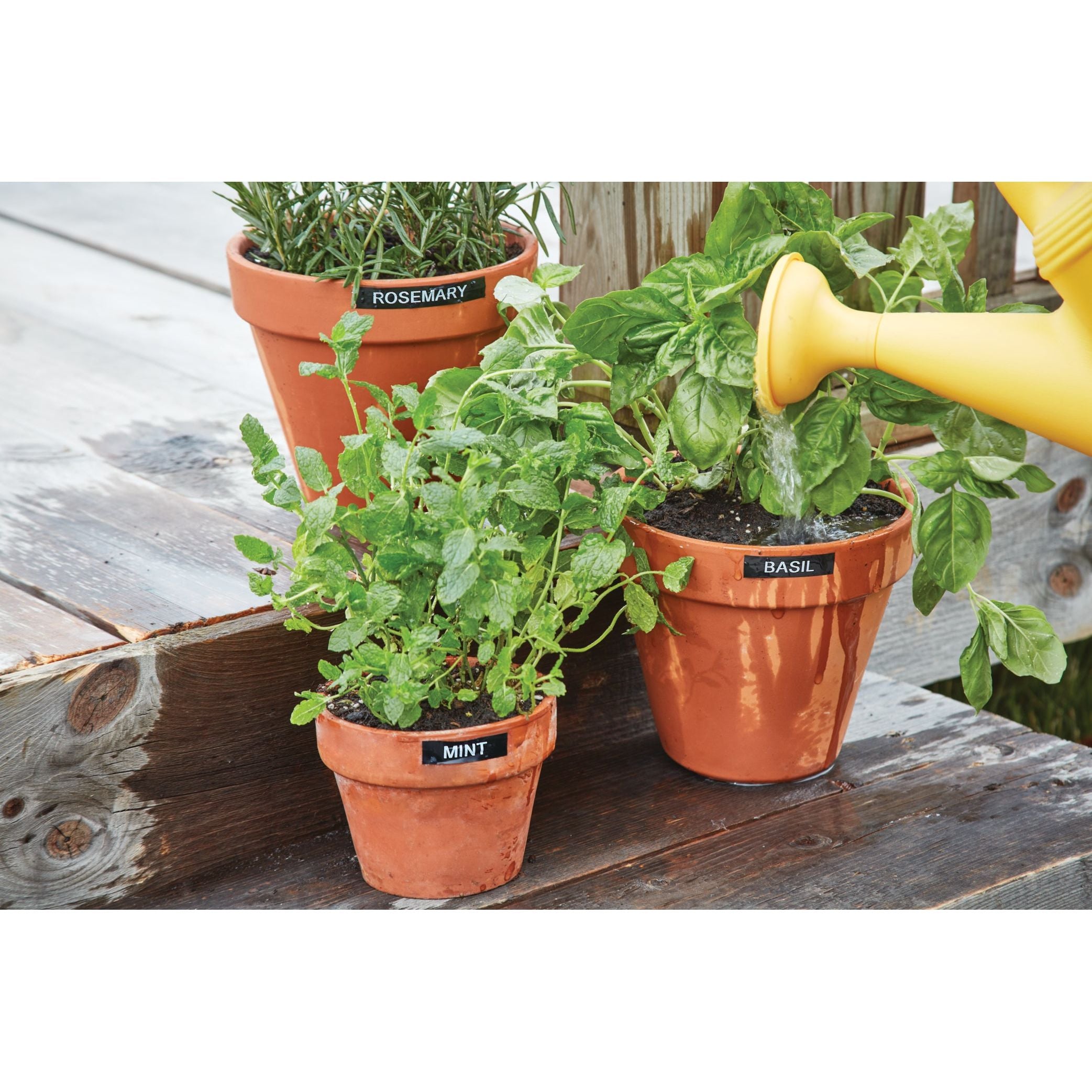 LabelManager 210D+ Label maker Kit Case Qwerty