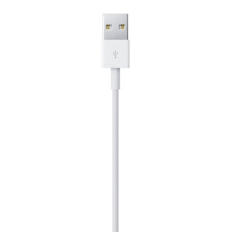 Apple Lightning to USB Cable (0.5 m)