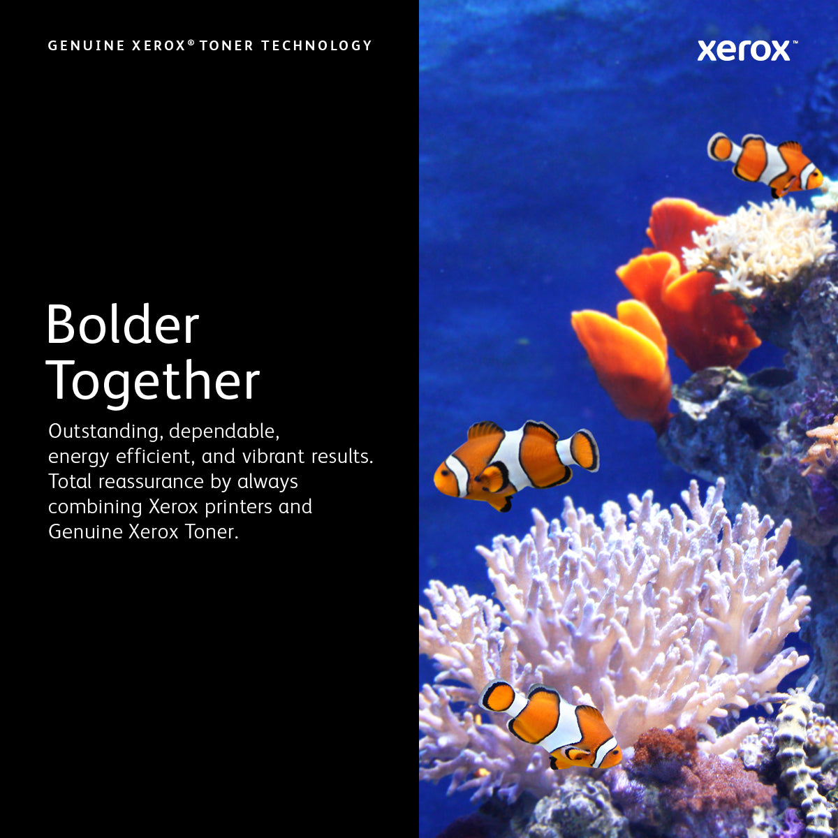 Xerox Tóner 006R04727 / B410 Svartur