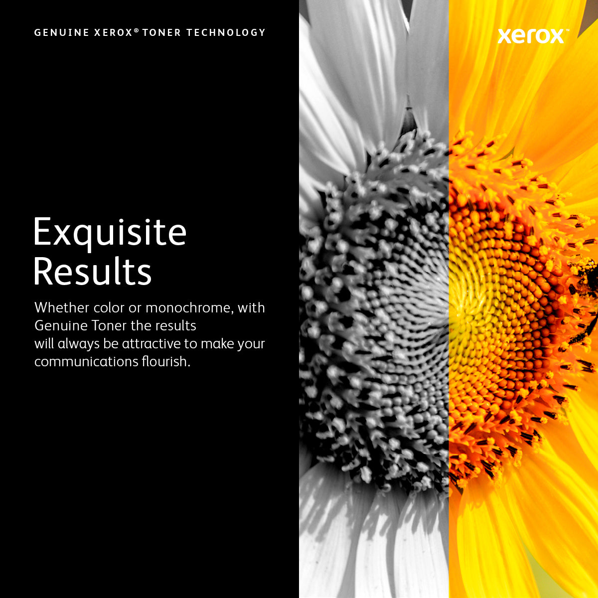 Xerox C410 / VersaLink C415 Magn Toner Cartridge HC 7K