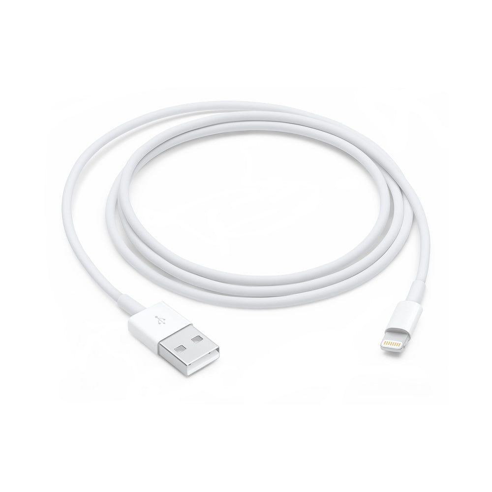 Apple Lightning to USB Cable (1В m)